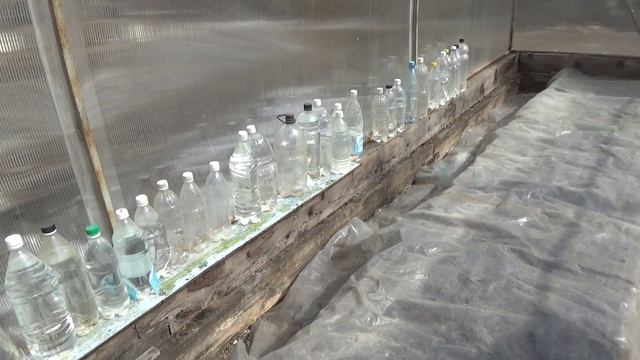 2107.   Готовим гряды для подзимнего сева. Результаты Весной.