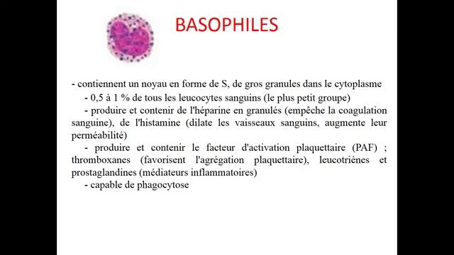 La Pathologie Du Sang Blanc (1)