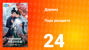 Пора расцвета 24 серия