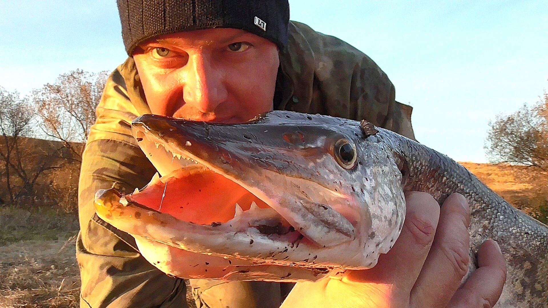 Осенняя рыбалка на спиннинг с берега! Щука на джиг, силикон смотреть онлайн