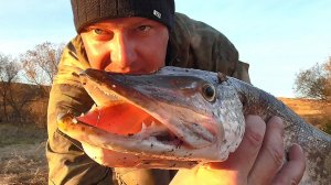 Осенняя рыбалка на спиннинг с берега! Щука на джиг, силикон