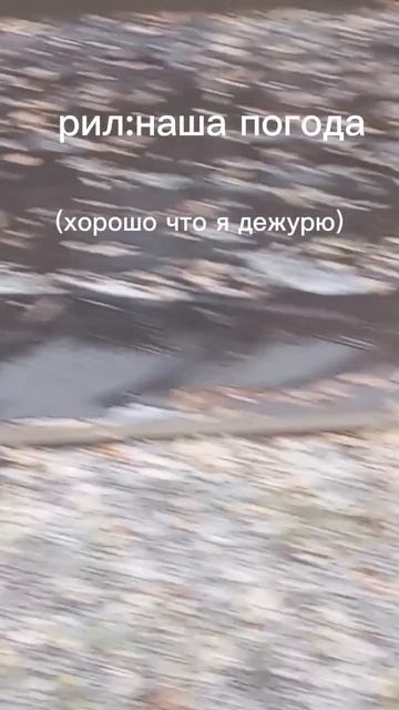 наша погода 👍