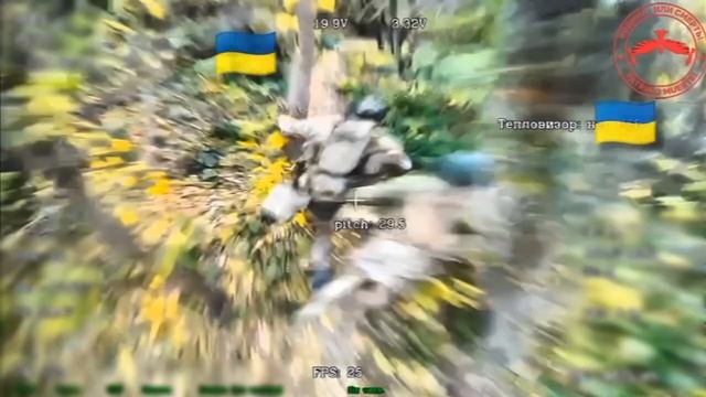 IMG_8530 смотреть онлайн