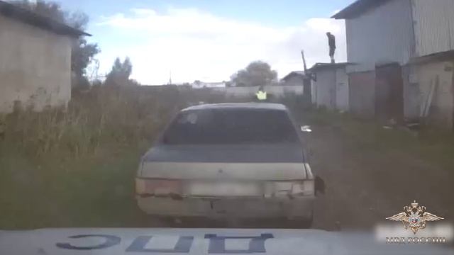 Житель Вологодской области броском полена помог ГАИ задержать нарушителя — пресс-служба МВД