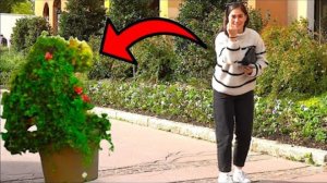 BUSHMAN PRANK (Chuckle Challenge) Amazingly hilarious#comedy