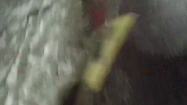 Трейлер убийца дик прейс.