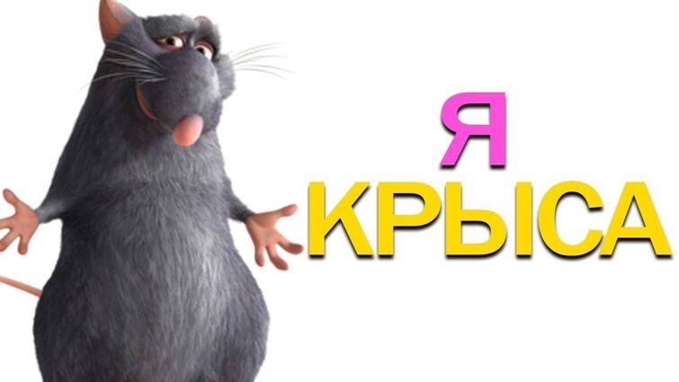 Крыса в гильдии смотреть онлайн