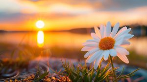 ДУШЕВНАЯ УСПОКАИВАЮЩАЯ МУЗЫКА ДЛЯ СНА СЛУШАТЬ ОНЛАЙН 🎵 МЕДЛЕННАЯ МУЗЫКА ДЛЯ МЕДИТАЦИИ