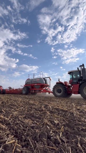 9 октября 2025 г.