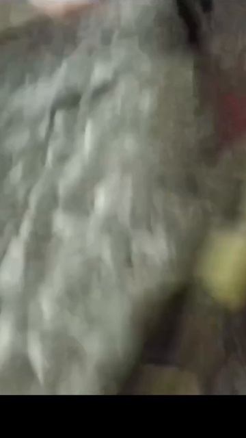 Трейлер убийца Дик прейс.