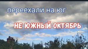#104🌷Не южный октябрь/Новая краска/Собрала перец/Наготовила пельмешек