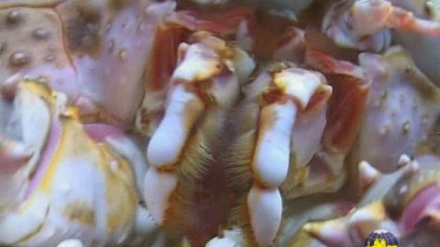 Дайвинг смотреть онлайн