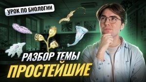 Простейшие: подробный разбор I Онлайн урок по биологии I Умскул