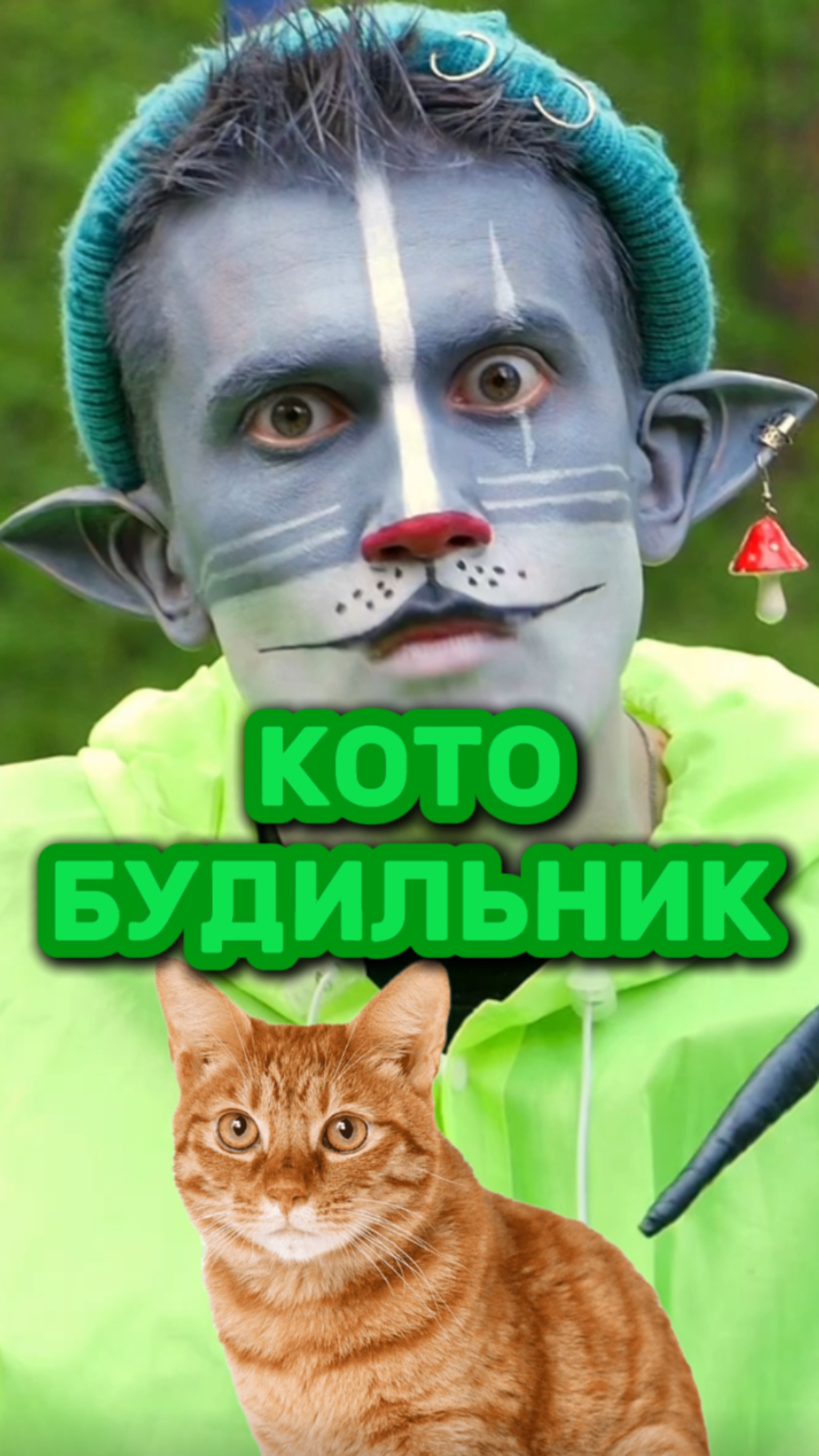 Кот Учёный и Котобудильник ⏰ смотреть онлайн