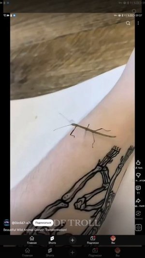 SVID_20251015_093704_1.mp4