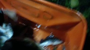 ☑️Вечерний ЖЕРЕХ. Вот это улов...