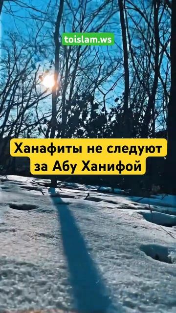 Ханафиты не следуют за Абу Ханифой || Шейх Ринат Абу Мухаммад смотреть онлайн