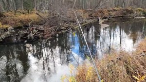 Рыбалка.р.Рутка.2025 год.