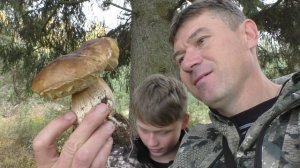УШЛИ С СЫНОМ В ЛЕС ИЩЕМ ГРИБЫ! РАЗНООБРАЗИЕ ЛЕСНЫХ ГРИБОВ В ОКТЯБРЕ!