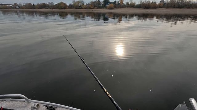 Кастинговое удилище  RYOBI Varius Cast 2,50m Up To 90g