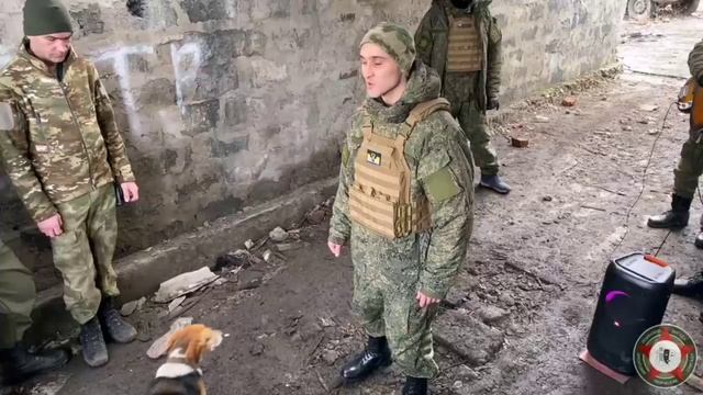 ⚡️Стихи с фронта⚡️Красиво.https://t.me/vmeste_my_sila_pulse