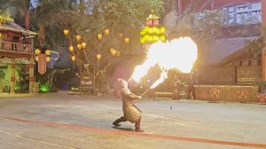 Фаер шоу в Романтик парке