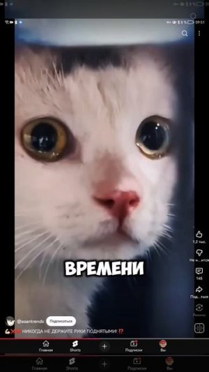 SVID_20251015_095049_1.mp4