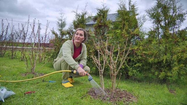 Сад мечты. Выпуск 27 смотреть онлайн
