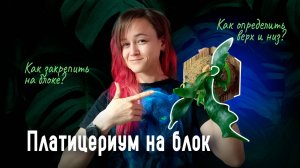 ПЛАТИЦЕРИУМ на деревянном БЛОКЕ: пошаговый мастер-класс