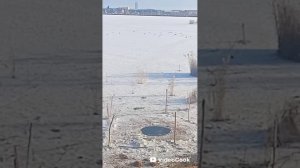 15-10-2025 Якутск. Сайсарское озеро замёрзло,а утки ещё не улетели на юг.