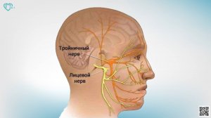 Тройничный нерв