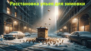 Методика Кашковского: правильная расстановка ульев для успешной зимовки на воле