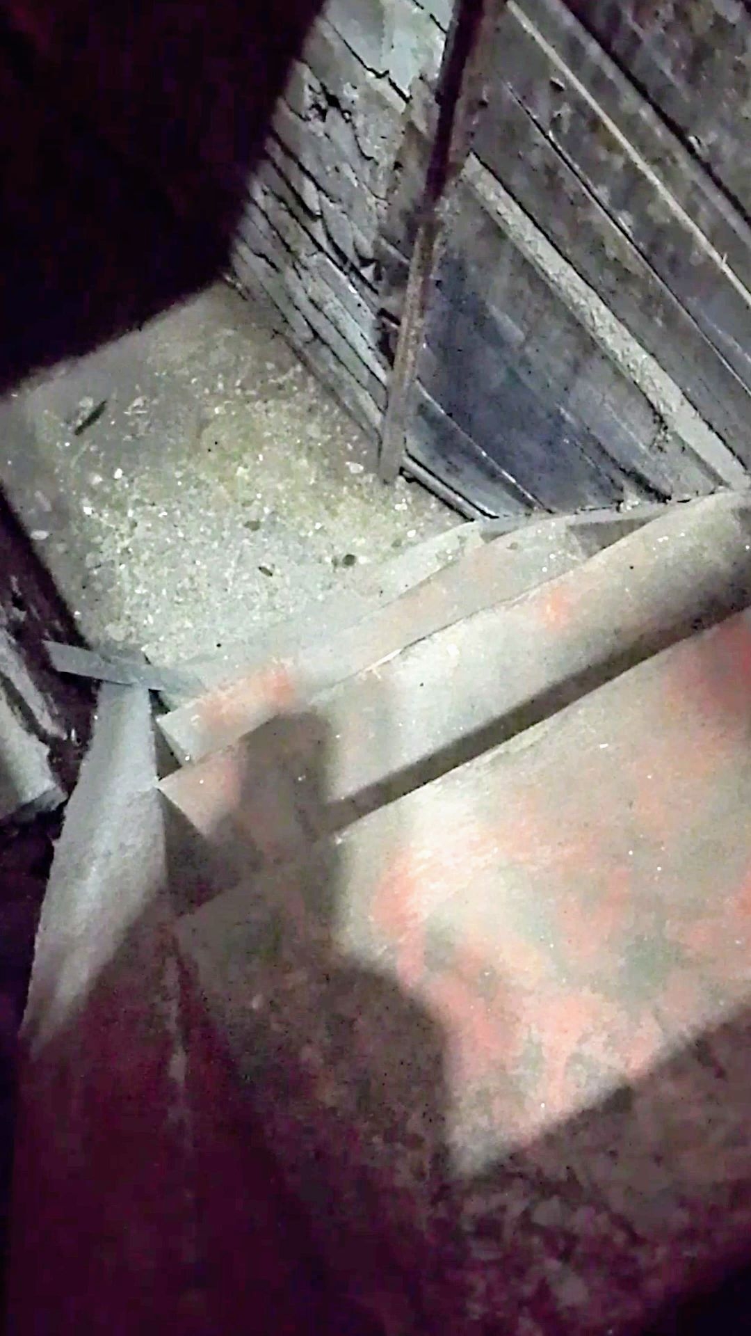 Нашествие крыс! Впервые! А ведь в подполье, все запасы!😩 Мыши ушли!👻 #крысы #животные #ужас смотреть онлайн