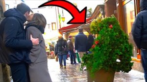 Epic best funnyvideo (LOVE BIRDS HAD NO IDEA) BEST EVER