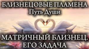 Задача матричного близнеца!