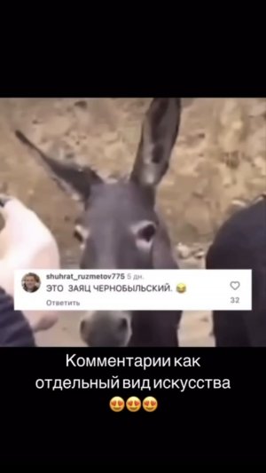 #shorts #юмор #прикол #смех