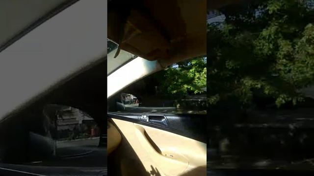 B8e54593-199e-48d3-9570-9bb45597f8f3