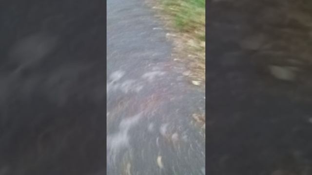 закупка смотреть онлайн