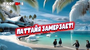 Видео к завтраку из Таиланда 🇹🇭  Паттайя под дождём | Холод, рынки и вкусняшки от подписчиков