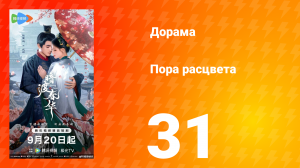 Пора расцвета 31 серия