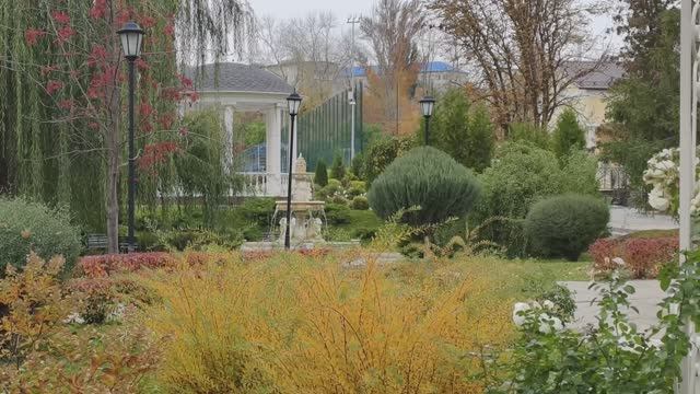 Краски осени. смотреть онлайн