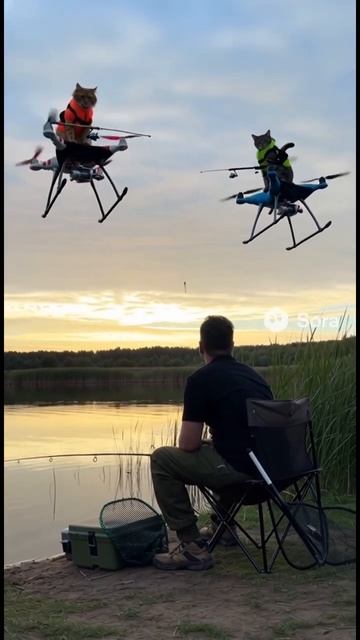 Напарники на рыбалке #fishing #спиннинг #shorts #kitten #catstory