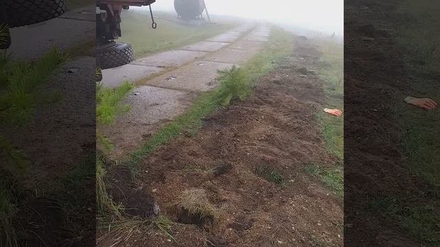 сажаем елки смотреть онлайн