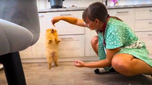 СТАРЫЕ ФОРМЫ ЛУЧШЕ НОВЫХ. ДОМАШНИЙ ХЛЕБ И ВКУСНЫЙ УЖИН. ИЗ ГОРОДА В ДЕРЕВНЮ ПЕРЕЗАГРУЗКА.