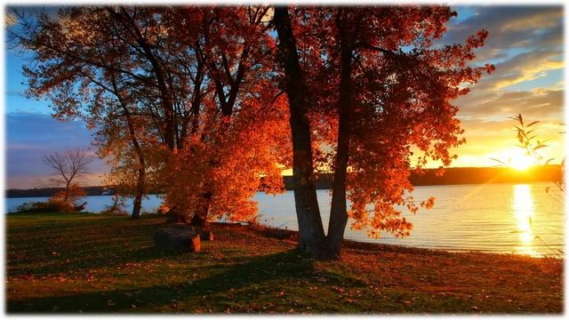 Михаил Лермонтов. Поэтический календарь смотреть онлайн