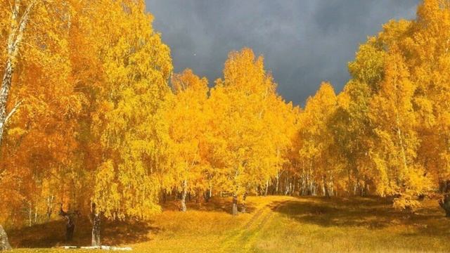 Этим моментом я наслаждаюсь