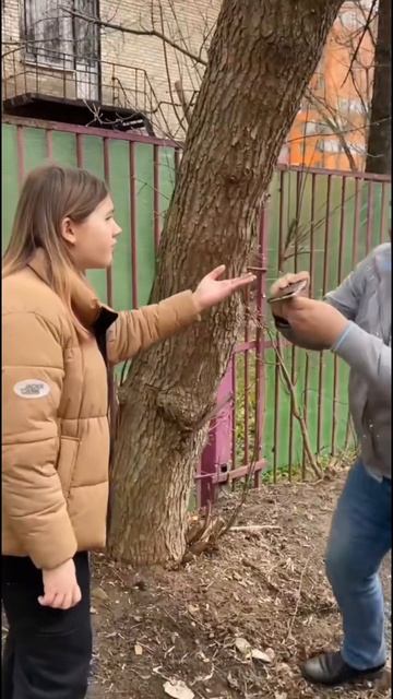 Сумашедший папа смотреть онлайн