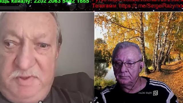 Морж смотреть онлайн