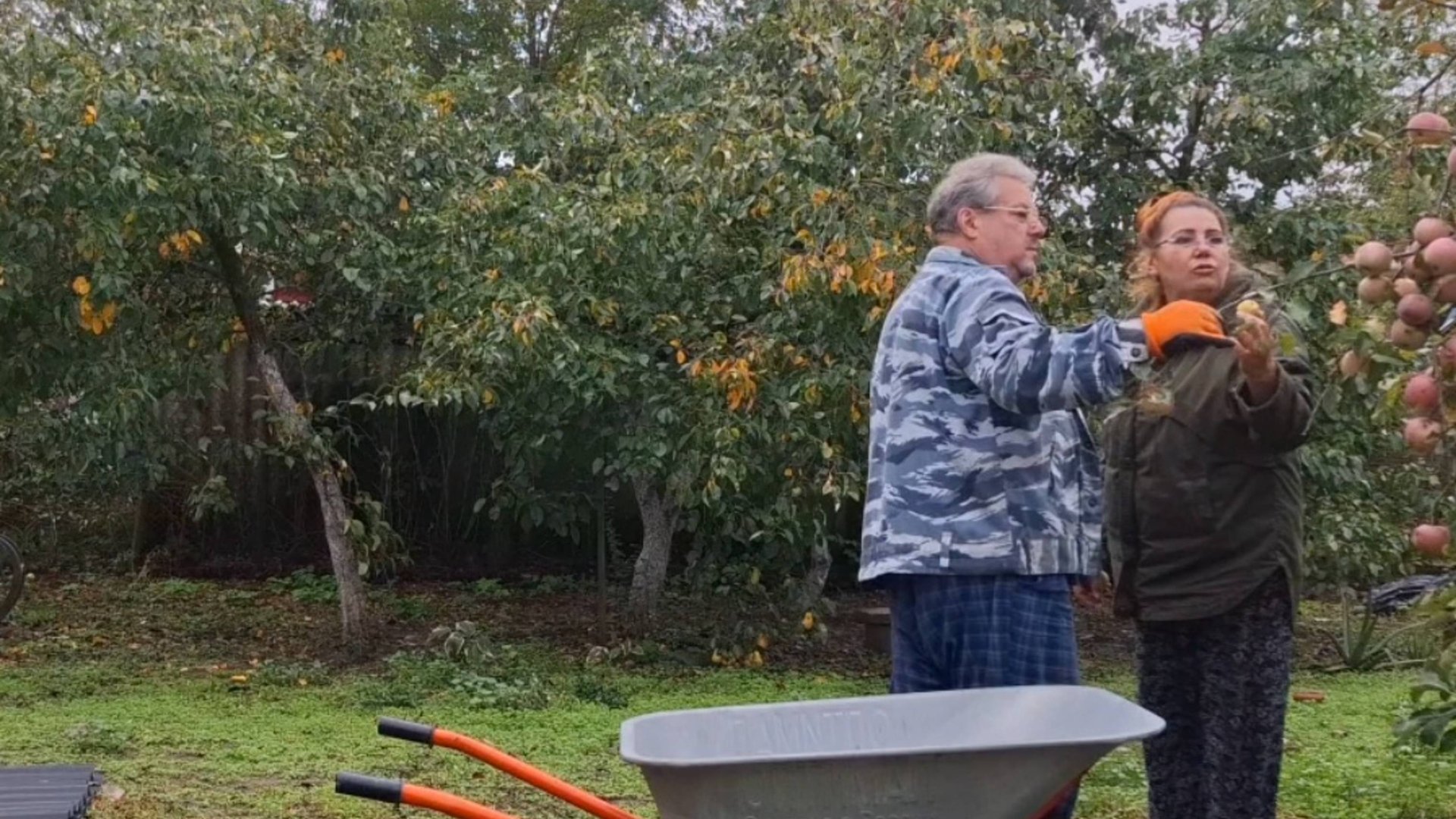 820 Жизнь станичная.Каждый делает что может. смотреть онлайн