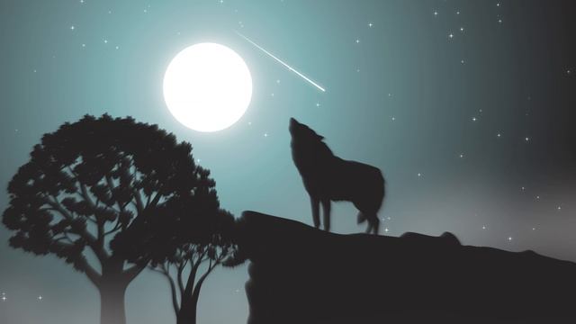 вой волка,звук волка